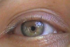 estur026