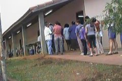 novo033