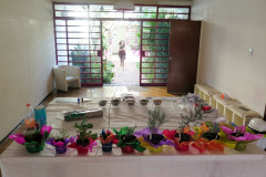 Encontro Fitoterapia· Organizado por CRT Conselho de Auto Regulamentacao da Terapia Holistica - Ministrantes - Fabiana Vieira e Henrique Vieira Filho