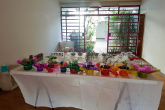 Encontro Fitoterapia· Organizado por CRT Conselho de Auto Regulamentacao da Terapia Holistica - Ministrantes - Fabiana Vieira e Henrique Vieira Filho