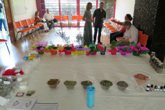 Encontro Fitoterapia· Organizado por CRT Conselho de Auto Regulamentacao da Terapia Holistica - Ministrantes - Fabiana Vieira e Henrique Vieira Filho