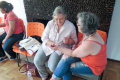 Encontro Fitoterapia· Organizado por CRT Conselho de Auto Regulamentacao da Terapia Holistica - Ministrantes - Fabiana Vieira e Henrique Vieira Filho