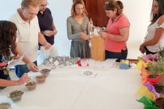 Encontro Fitoterapia· Organizado por CRT Conselho de Auto Regulamentacao da Terapia Holistica - Ministrantes - Fabiana Vieira e Henrique Vieira Filho