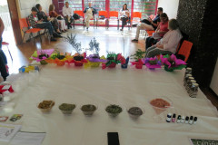 Encontro Fitoterapia· Organizado por CRT Conselho de Auto Regulamentacao da Terapia Holistica - Ministrantes - Fabiana Vieira e Henrique Vieira Filho